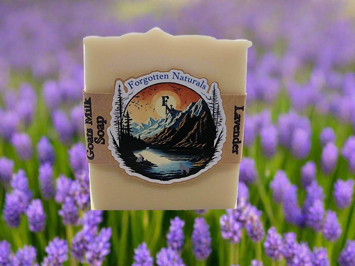 Lavender